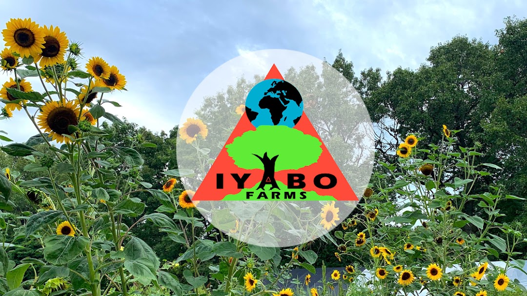 Iyabo Farms